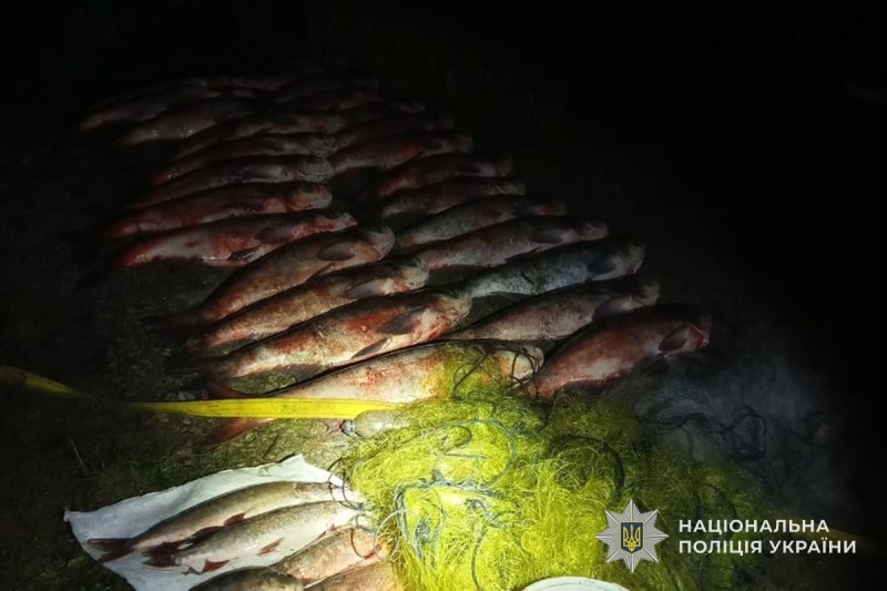 img d6eeac84f74452b8afa330d84f82d937