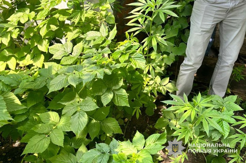 img eec6bd82c7e0686e59b125df9bdb3b66