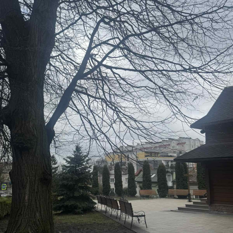 stariy park 09 04 26 2