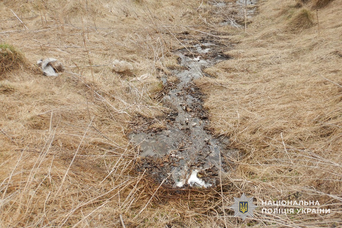 v8 1e773043e0a7c6b73140d0451ef7f3ee