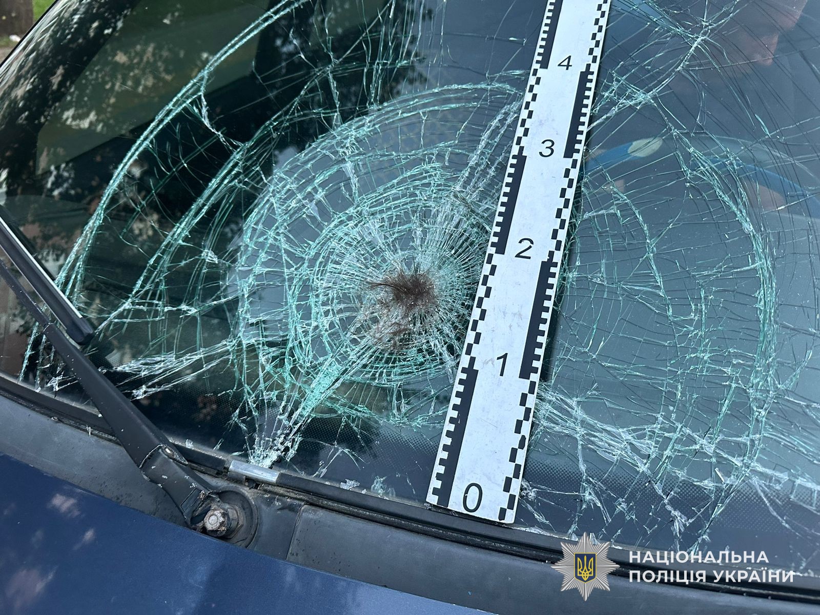 v8 4ab1db5e6ff74f1470c8b91fd21f008f