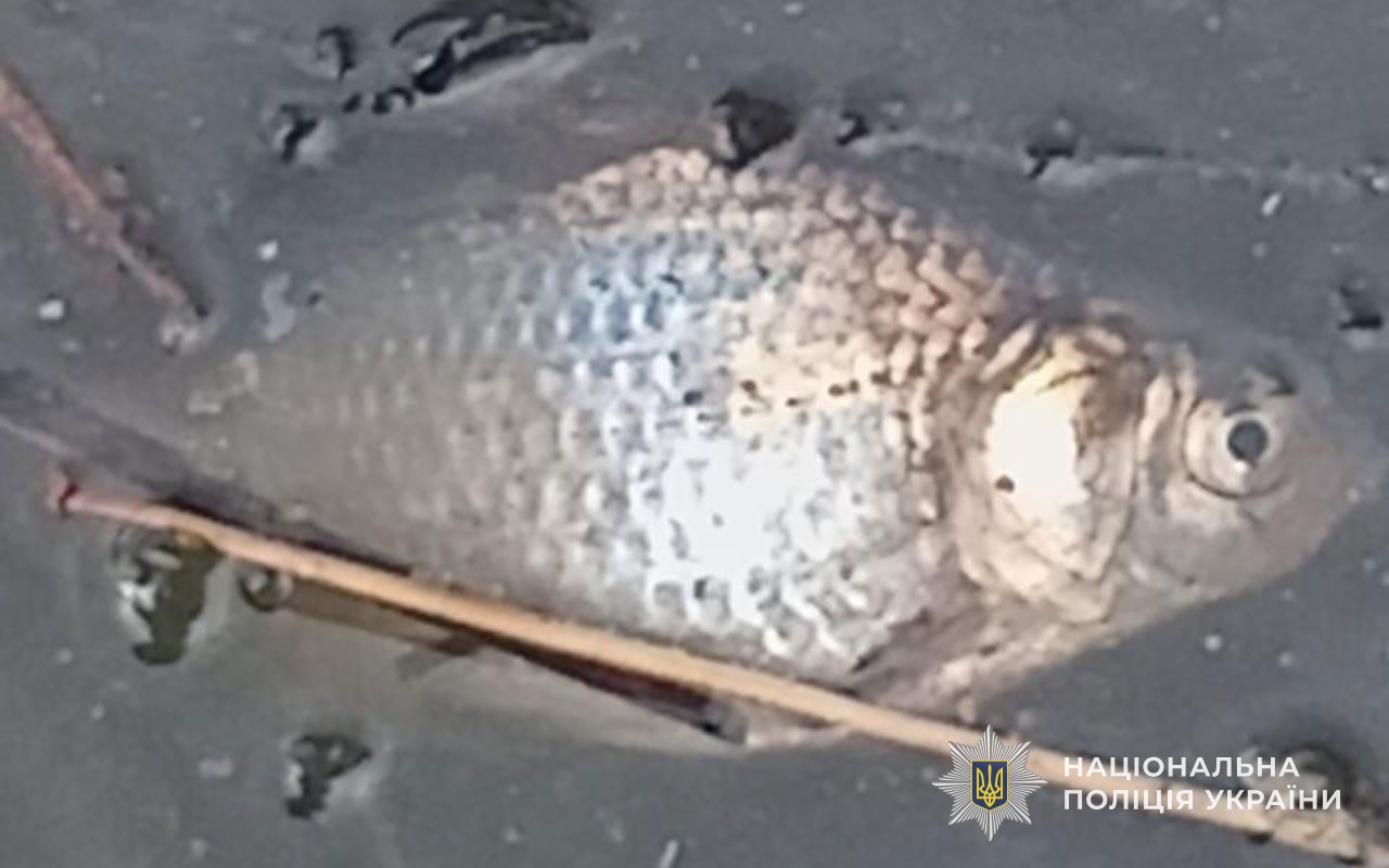 v8 58f16777bac5f44beb09134c59732fd5