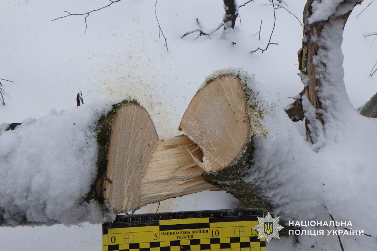 v8 5f32f9afce78d276f732d222170d0d82