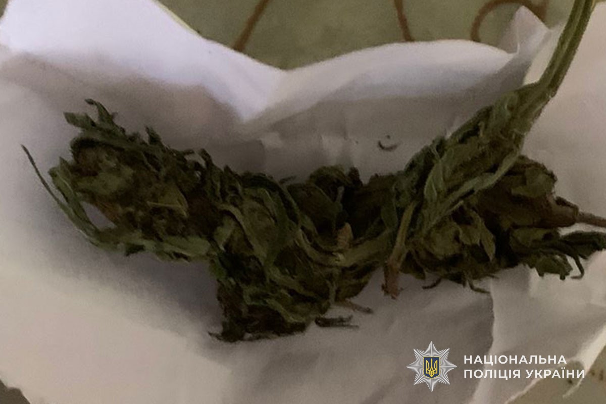 v8 7c567355e0fe2302ce438487cd5f32b8