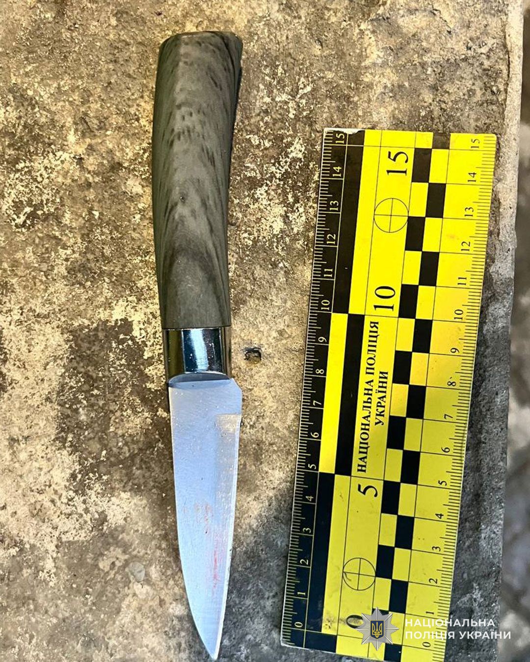 v8 7dd45942c2a7e349fbf2bb3de8a3de43