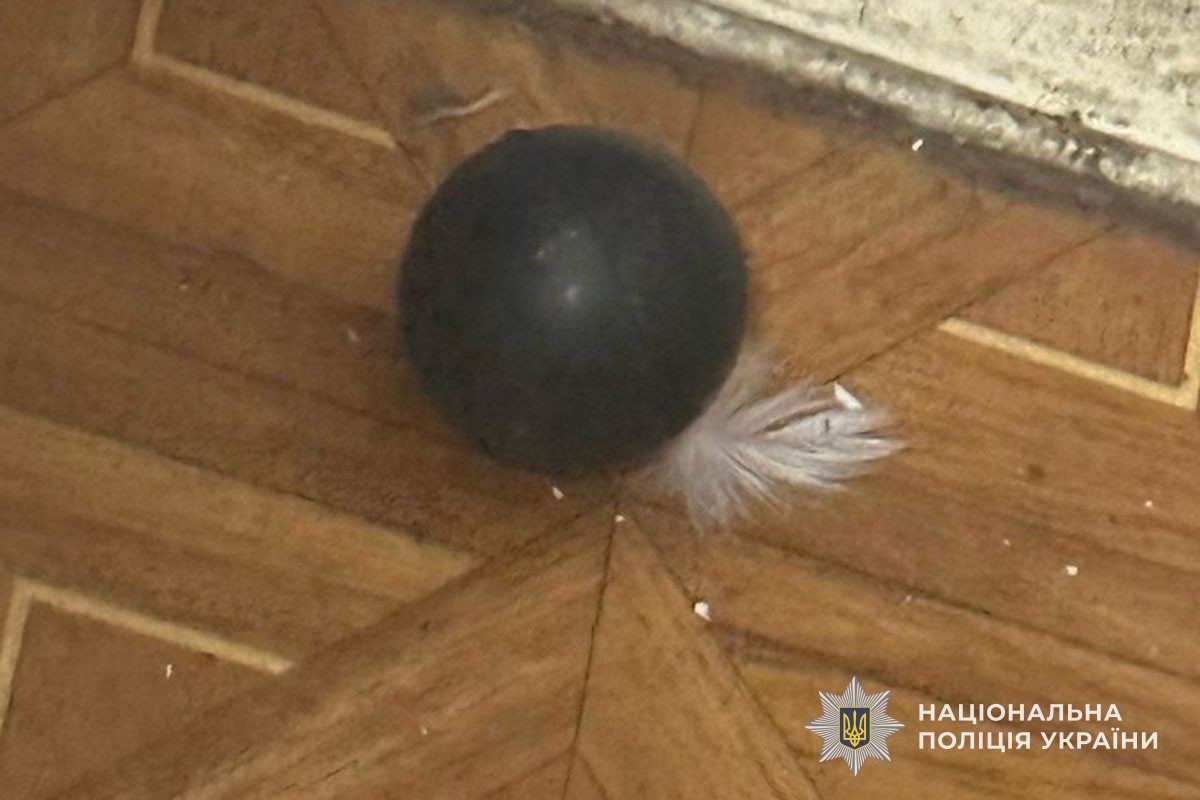 v8 94d7f1e4879797733e723eb5f58094f7