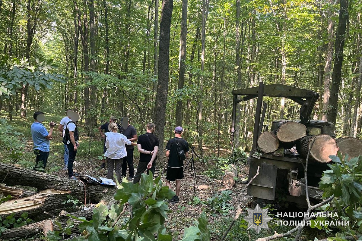 v8 a5bcf30b24aec3a7a14fa9c6b43c6f81