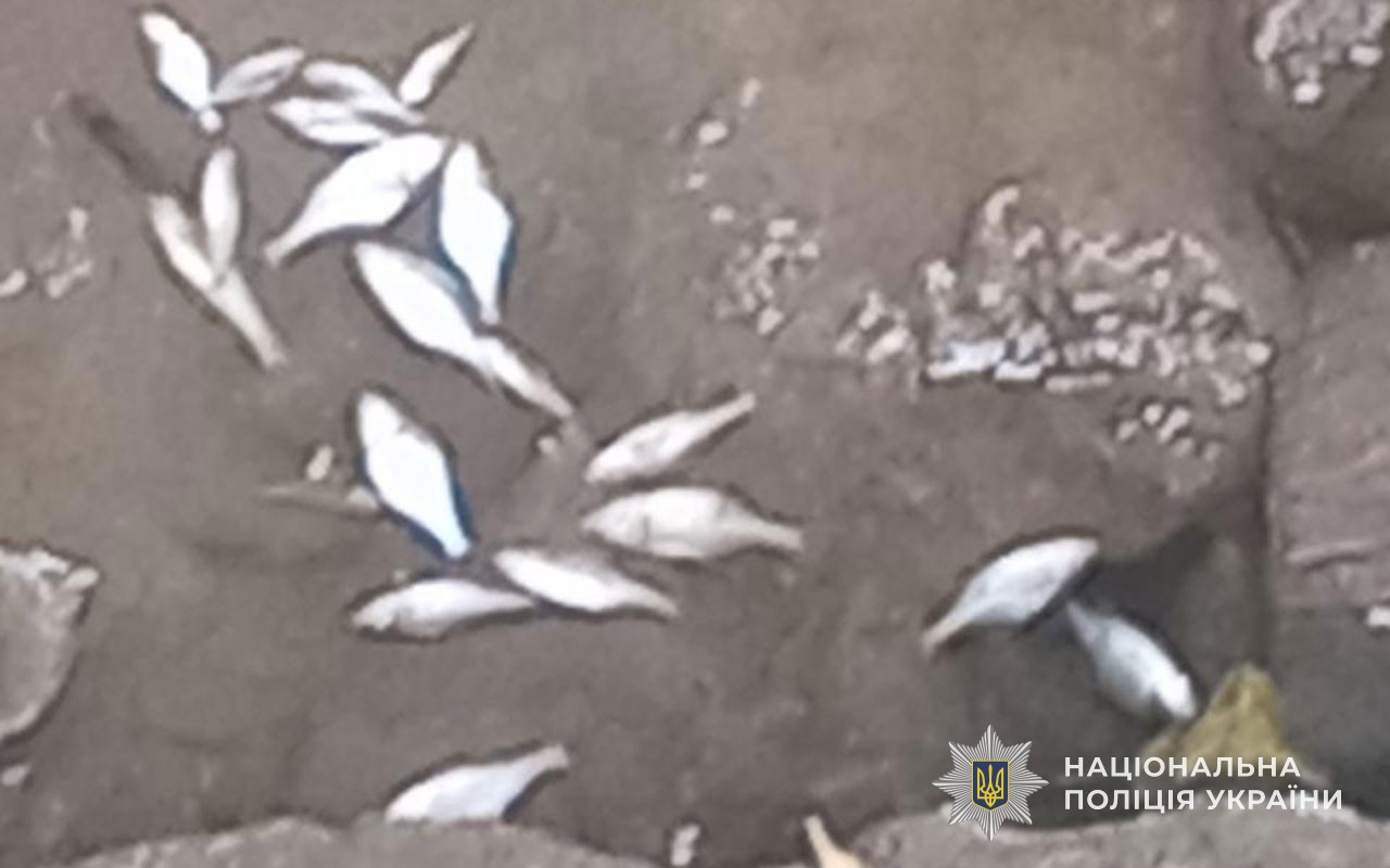 v8 d918d5d74d31e01d26c0a9ecc6511158