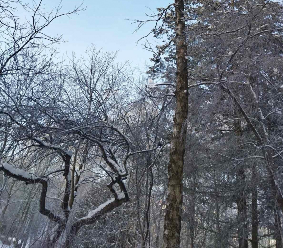 vidalennyaavariynihderev2026 17