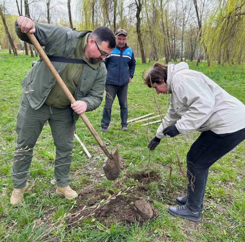 visadgennyaderev17042026 14