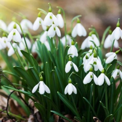 zaborona prodagu 06 03 26