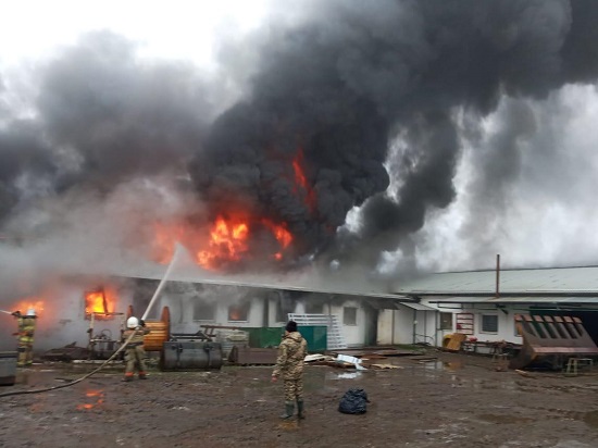 131052050 1835091023297076 4994566767385316451 o