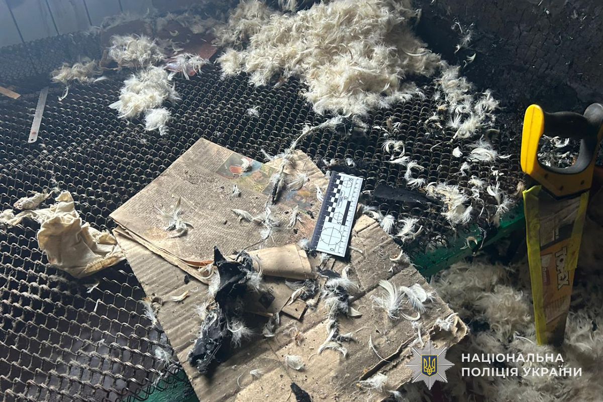 IMG 20260421 112205 205