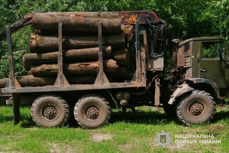 69ce2cb3d3ee6424610388