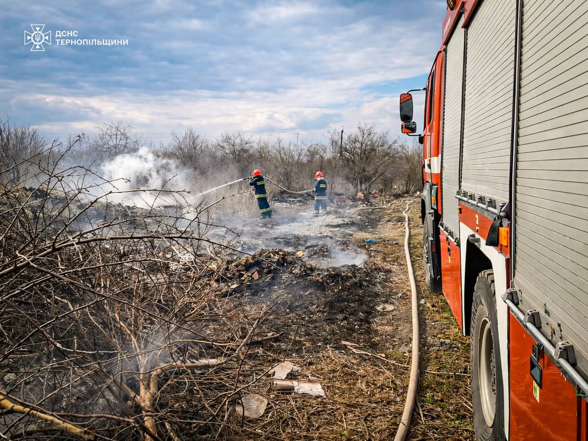 FB IMG 1774515139236