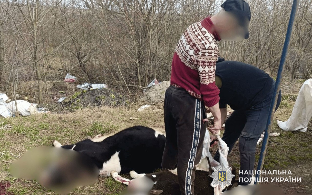 v8 636098f42941c2e4428adaef67a3f5be