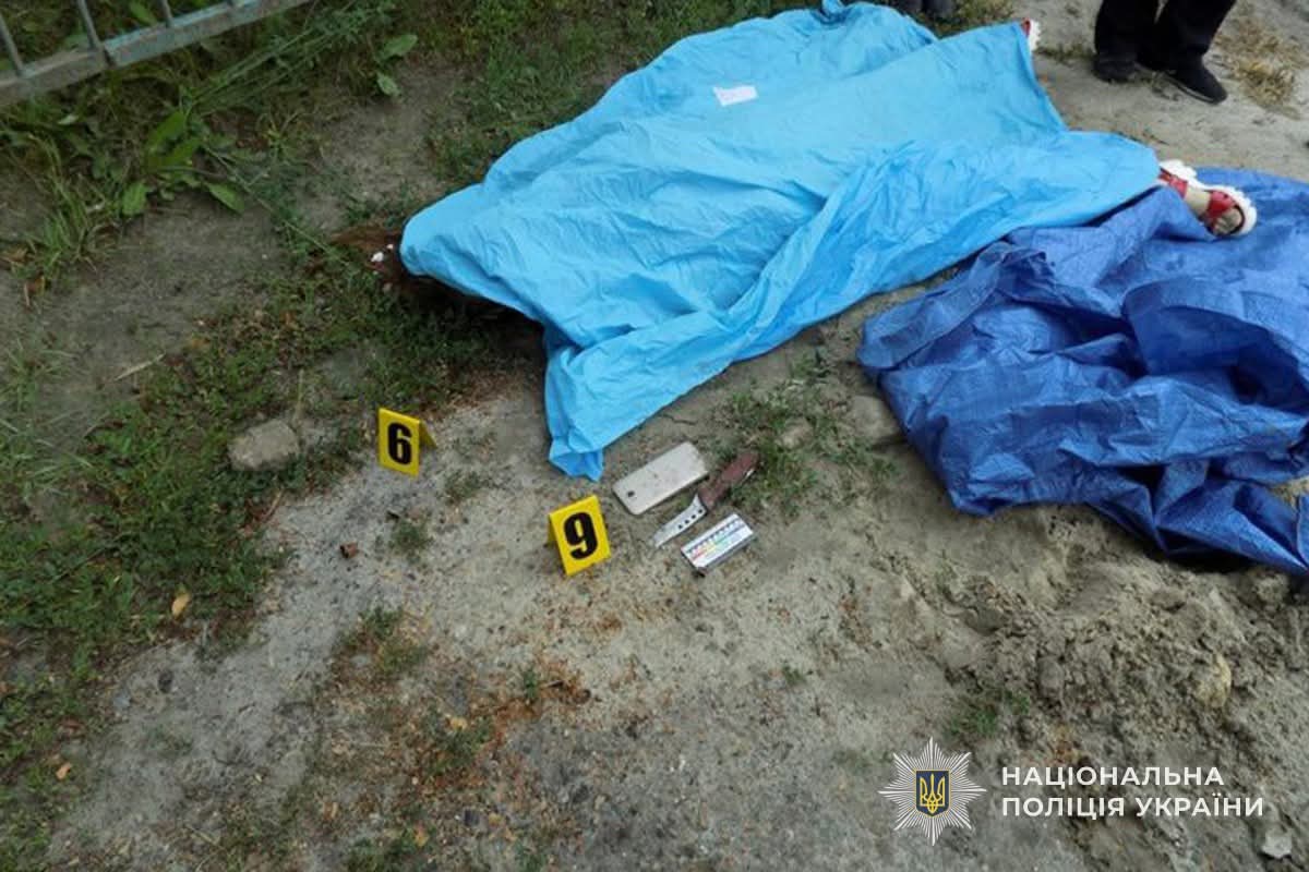 FB IMG 1771336253397