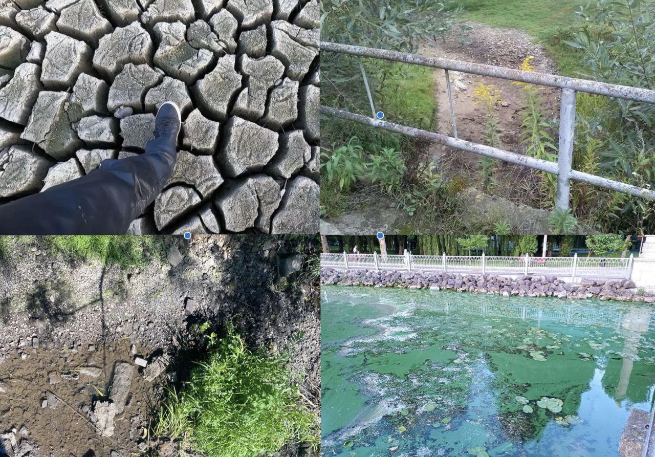 IMG 20250711 073929 433