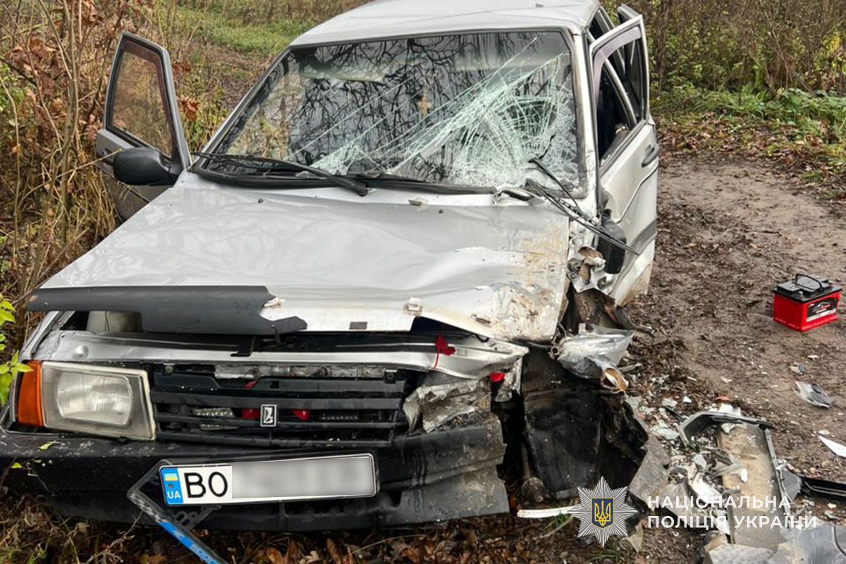 IMG 20251112 103231 020