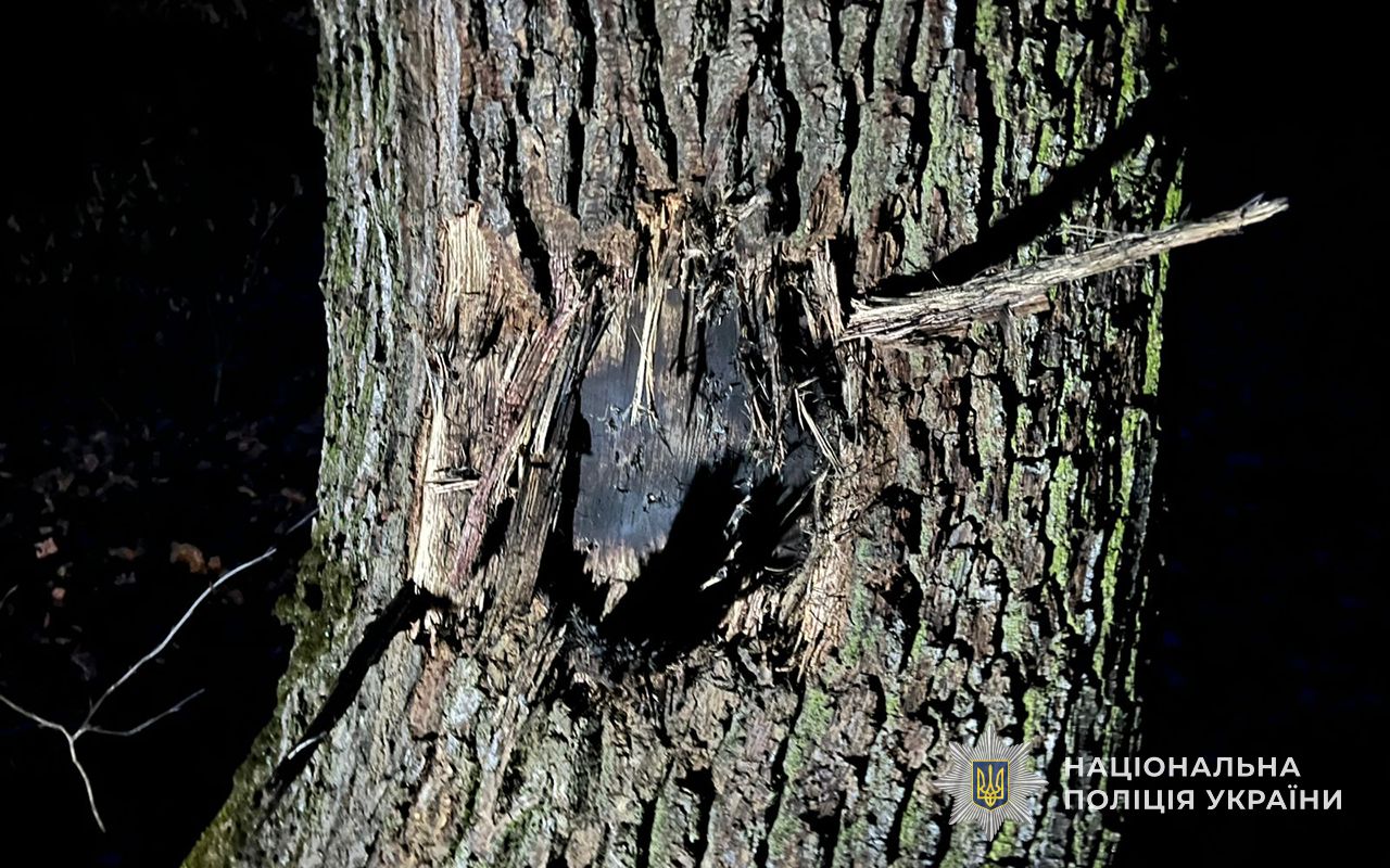 IMG 20260310 083716 651