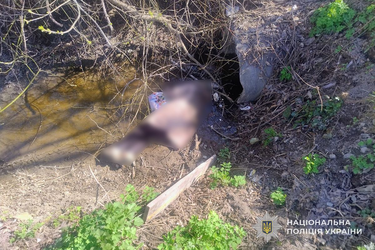 IMG 20260406 150352 322